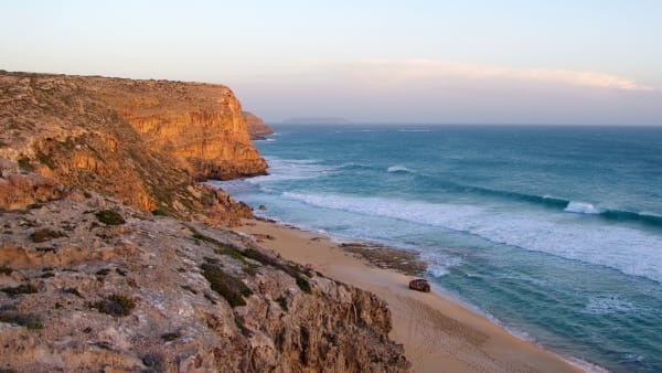 Providing services in regional South Australia
